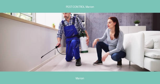 PEST CONTROL Marion